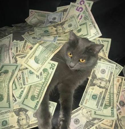 Cash store/Limited time